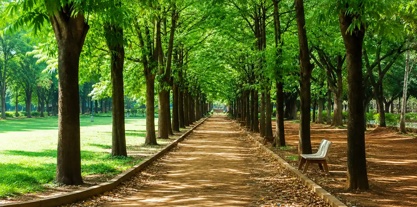 5 Must-Visit Photography Spots in Bangalore